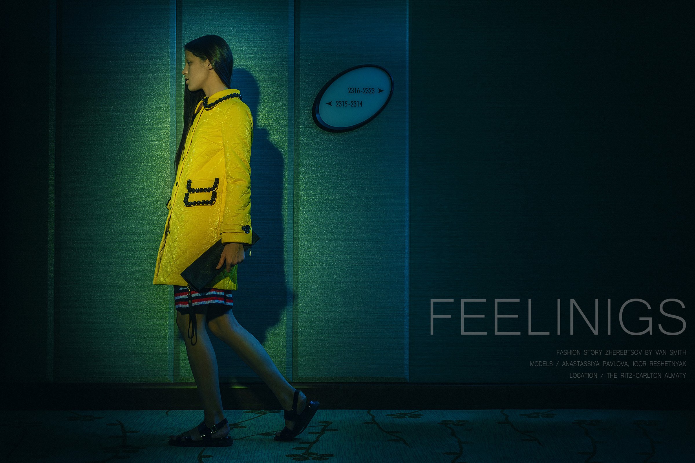 Feelings 2014 — Series 01